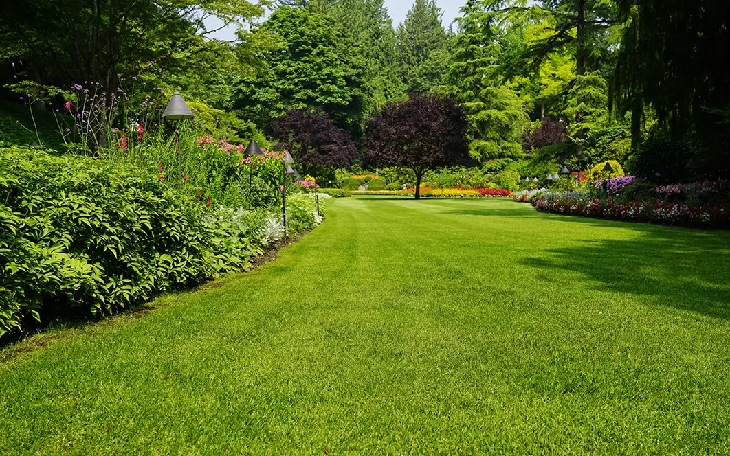 Limpieza de Jardines